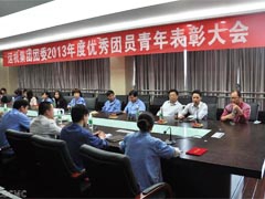公司召開(kāi)2013年度優(yōu)秀團(tuán)員青年表彰大會(huì)